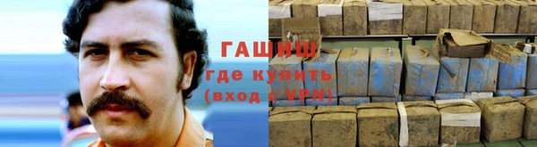 стафф Богданович