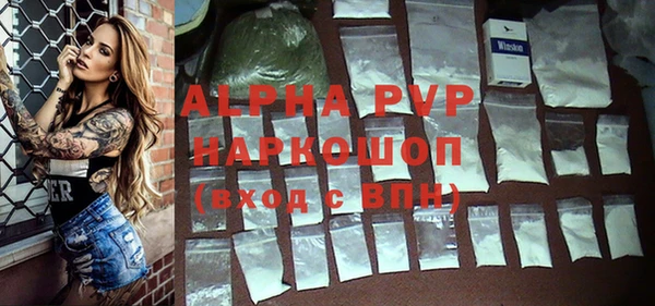 стафф Богданович