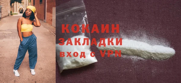 стафф Богданович